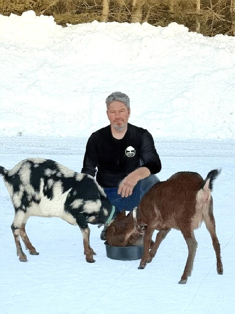 Nubians In The North — Greg feeding goats in the snow